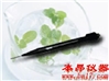 GDYQ-110SF食用油酸价快速检测仪